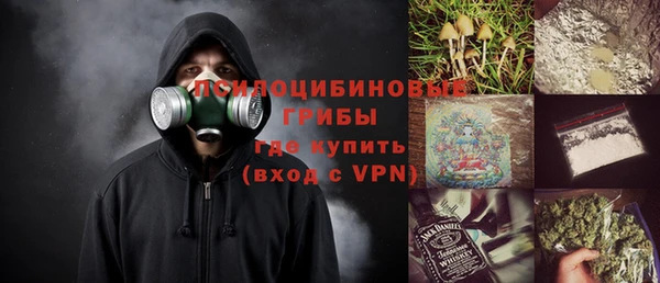 твердый Анжеро-Судженск