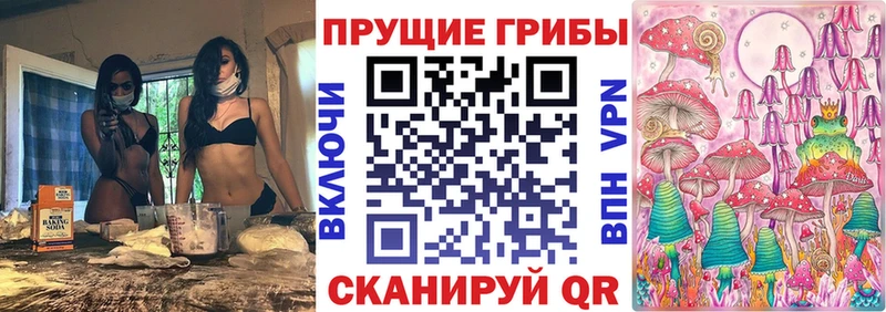 darknet формула  Кириллов  Псилоцибиновые грибы Psilocybine cubensis 